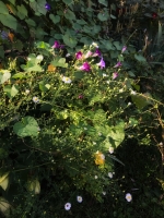 38_img0595.jpg