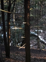 38_img2397.jpg