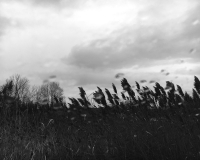 41_img2088.jpg