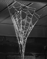 41_img4856.jpg