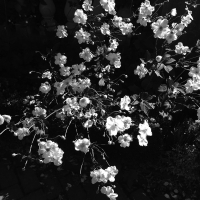 41_img7456.jpg