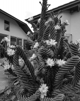 41_img9689.jpg